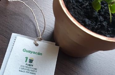 etiqueta